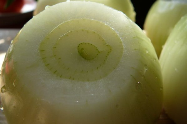 Kraken кракен onion